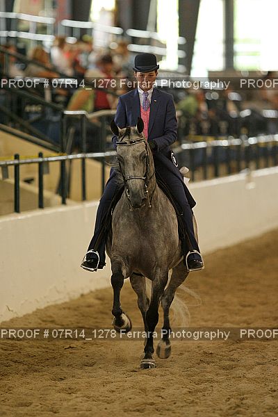 Proof 07R14_1278