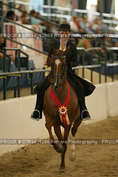 Proof 07R14_1286