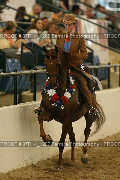 Proof 07R14_1287