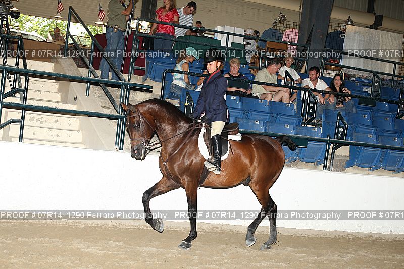 Proof 07R14_1290