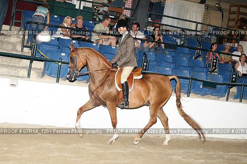 Proof 07R14_1291
