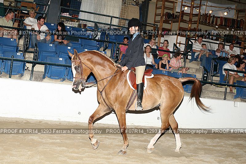 Proof 07R14_1293