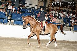 07R14_1293 proof