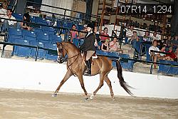 07R14_1294 proof