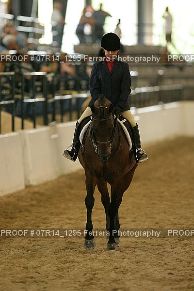 Proof 07R14_1295