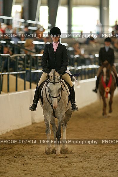 Proof 07R14_1306