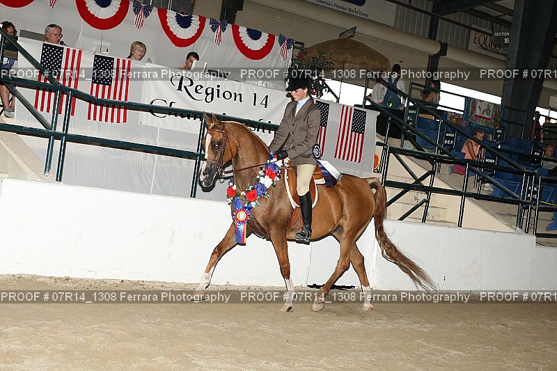 Proof 07R14_1308
