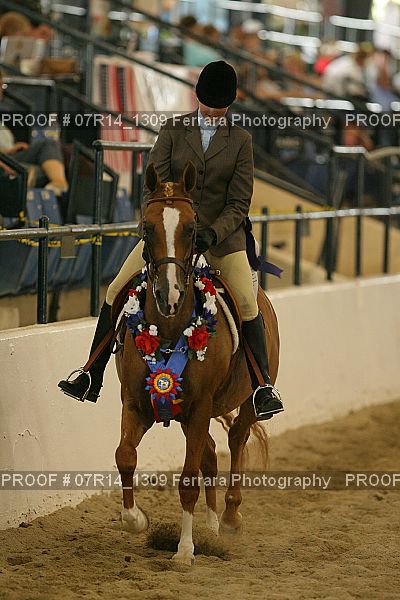 Proof 07R14_1309