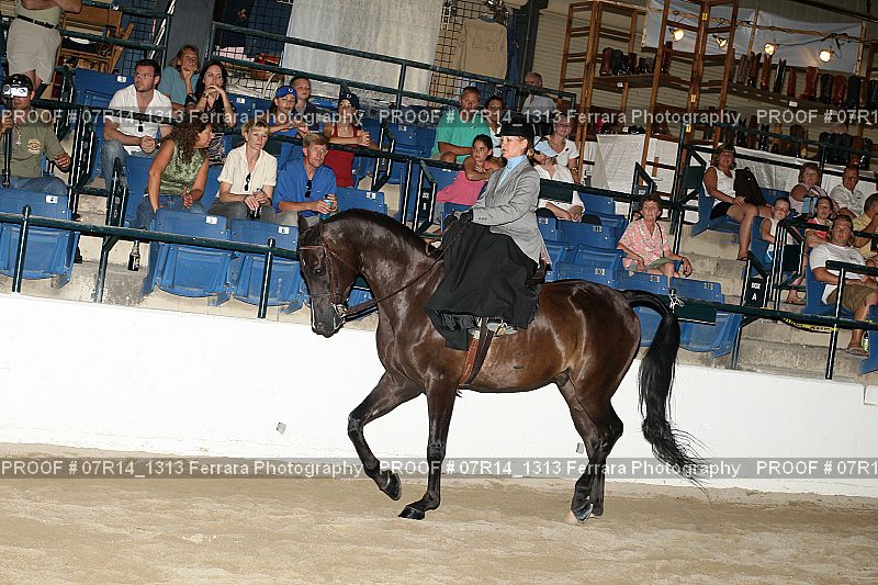Proof 07R14_1313