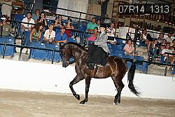 07R14_1313 proof