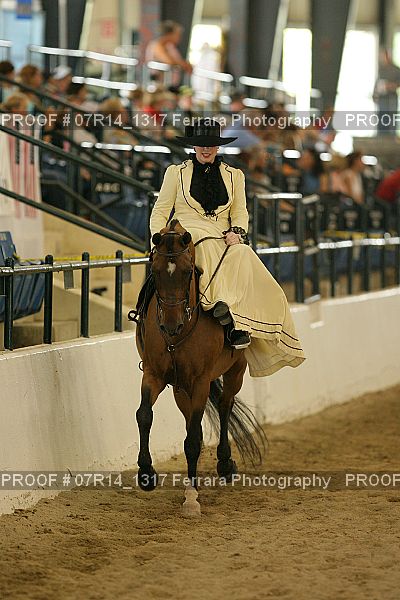 Proof 07R14_1317