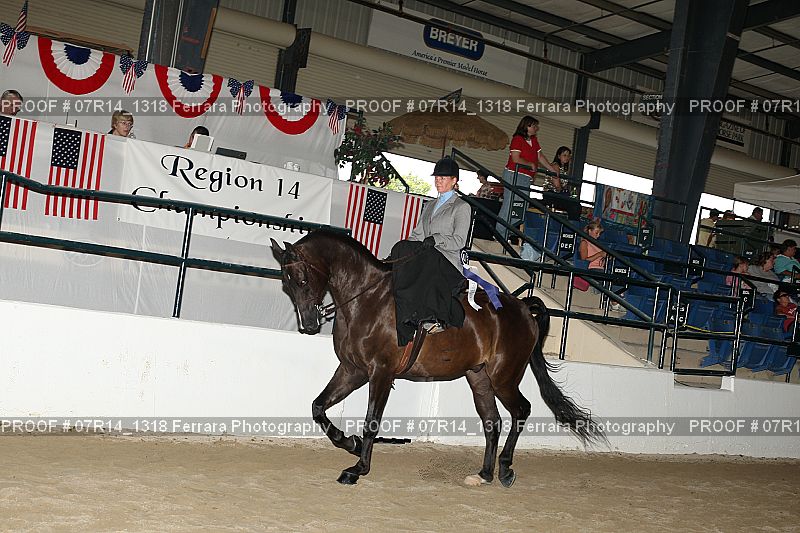 Proof 07R14_1318