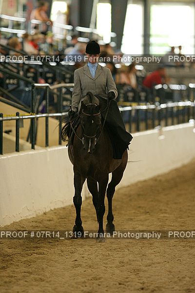 Proof 07R14_1319