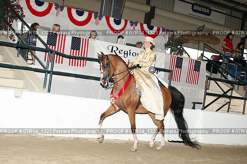 Proof 07R14_1323