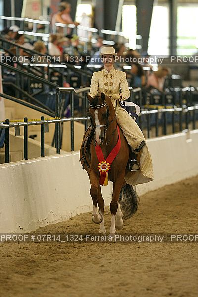 Proof 07R14_1324