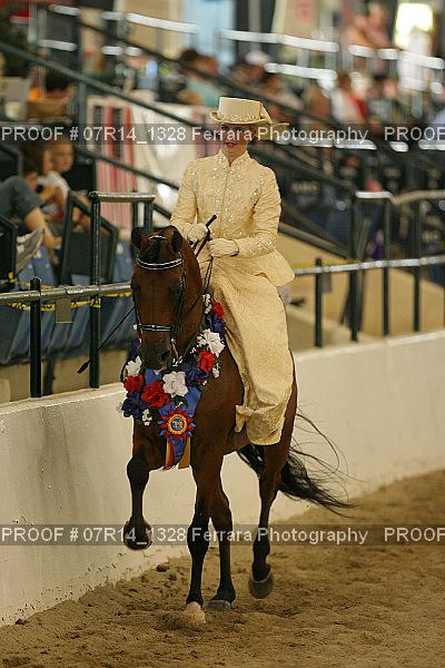 Proof 07R14_1328