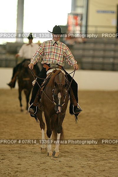 Proof 07R14_1336