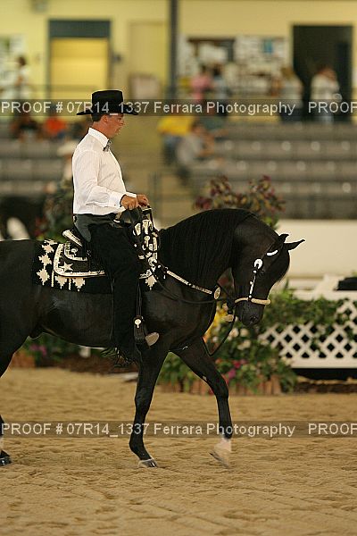 Proof 07R14_1337