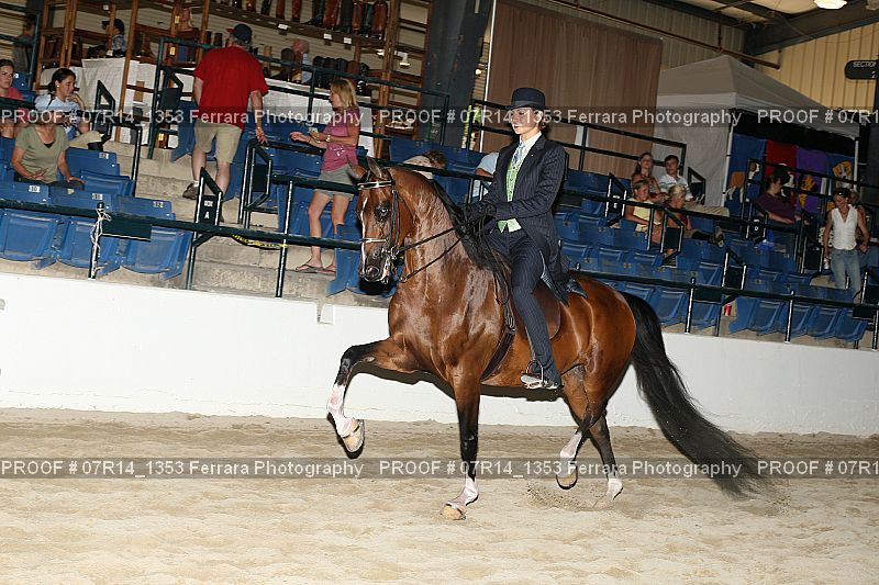Proof 07R14_1353
