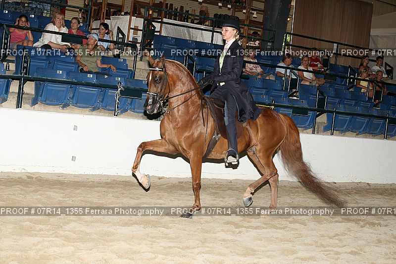 Proof 07R14_1355