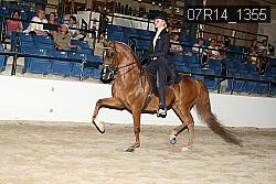07R14_1355 proof