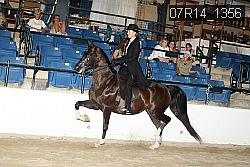 07R14_1356 proof