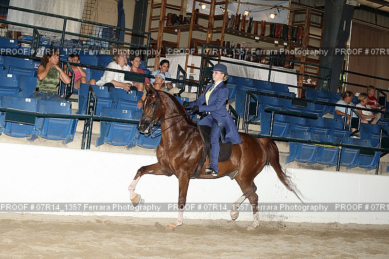 Proof 07R14_1357