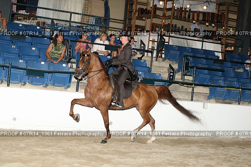 Proof 07R14_1361