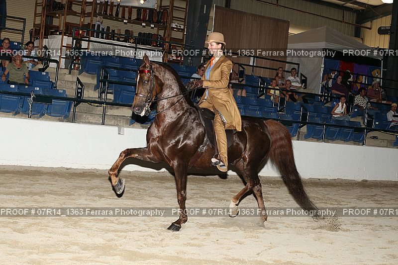 Proof 07R14_1363