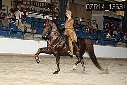 07R14_1363 proof