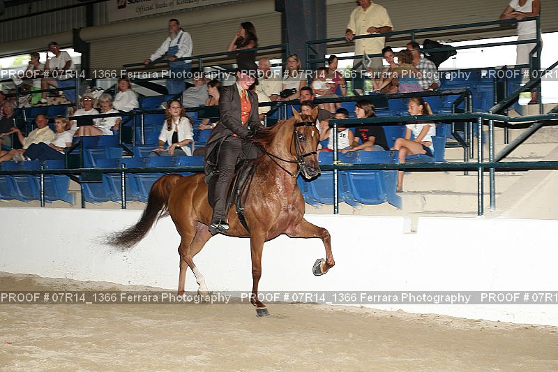Proof 07R14_1366