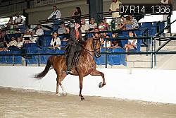 07R14_1366 proof