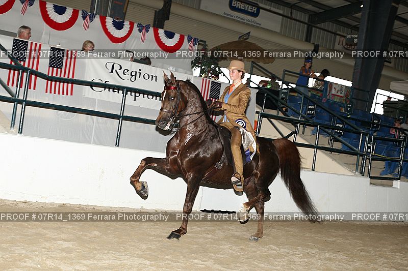 Proof 07R14_1369