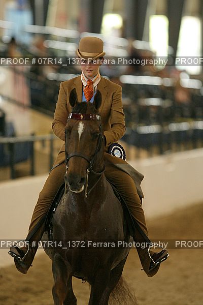 Proof 07R14_1372