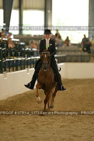 Proof 07R14_1373