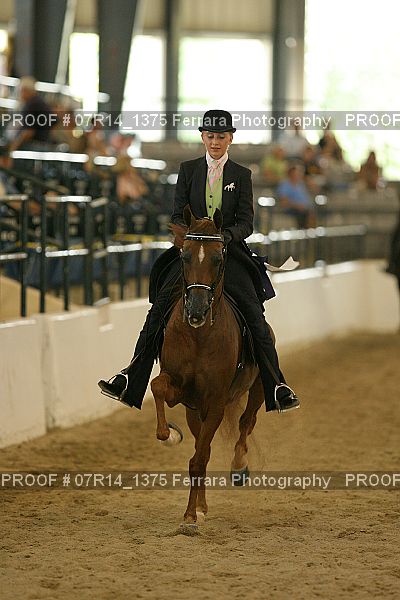 Proof 07R14_1375