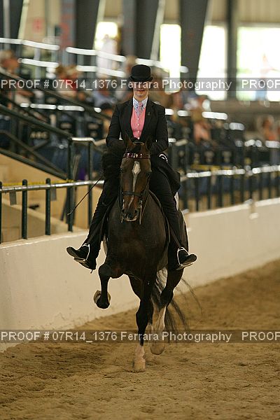 Proof 07R14_1376