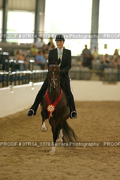 Proof 07R14_1378