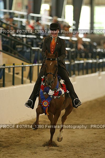 Proof 07R14_1380