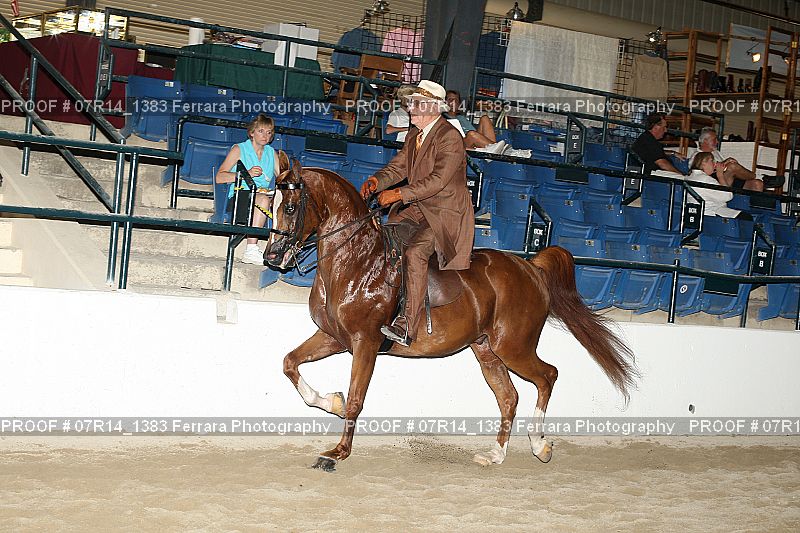 Proof 07R14_1383