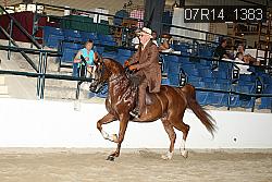07R14_1383 proof