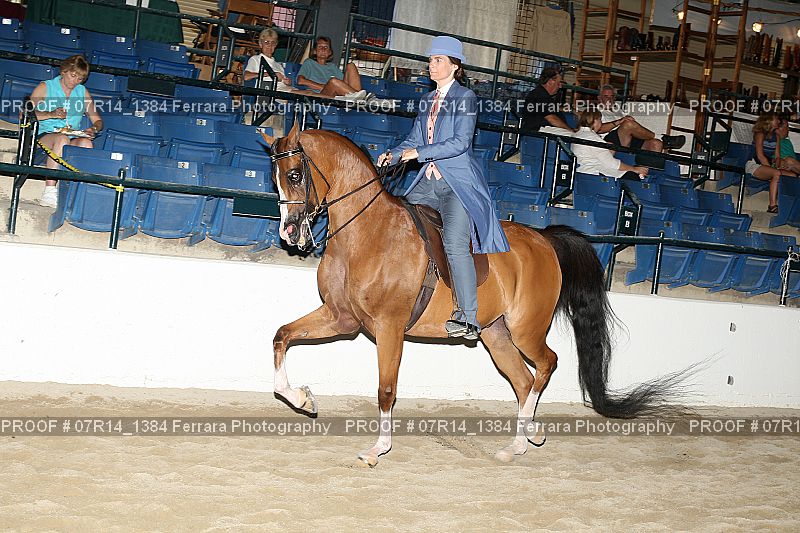 Proof 07R14_1384