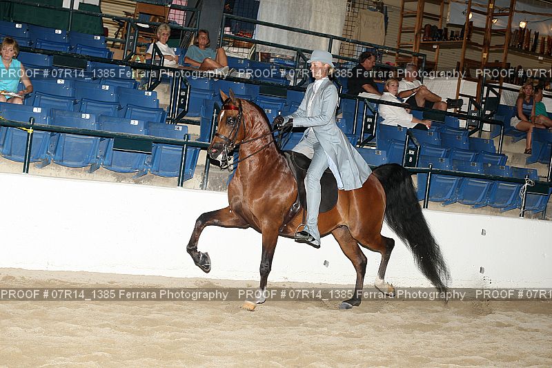 Proof 07R14_1385