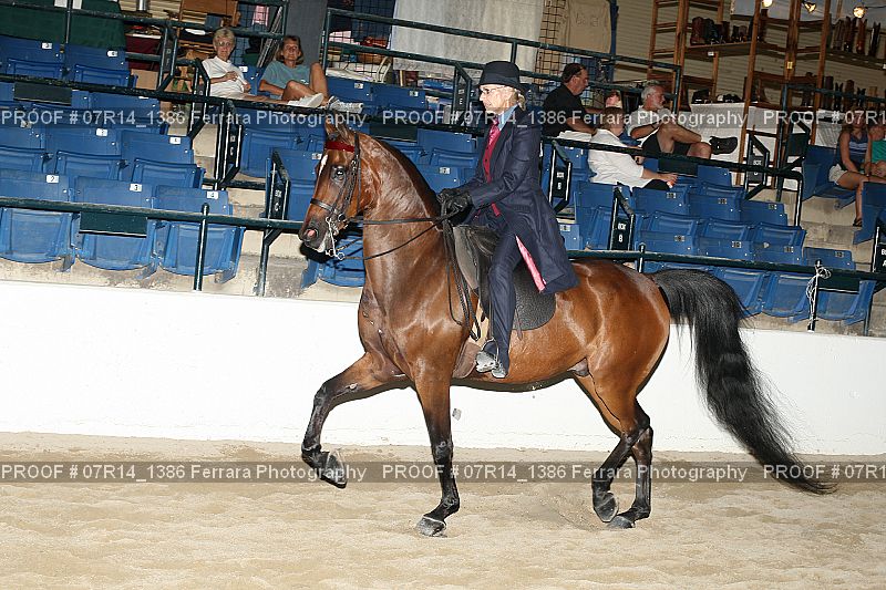 Proof 07R14_1386