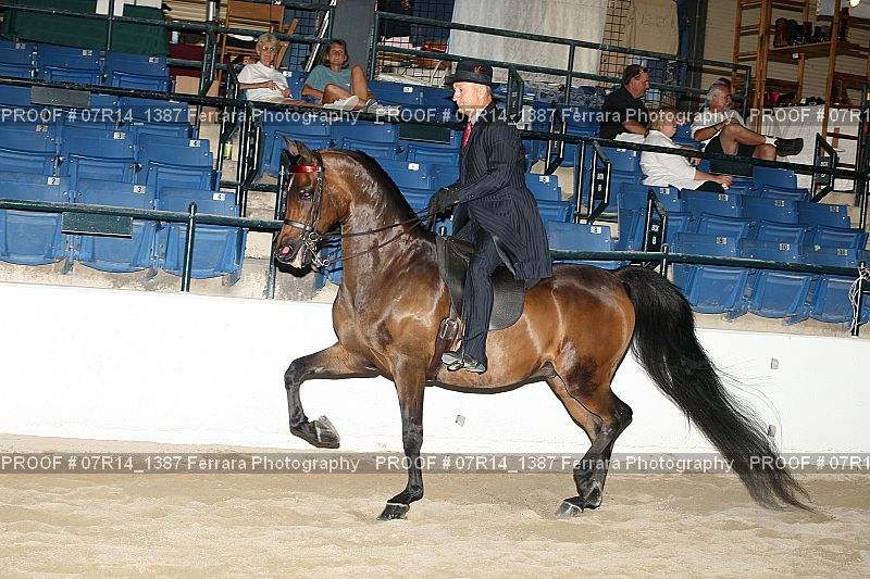 Proof 07R14_1387