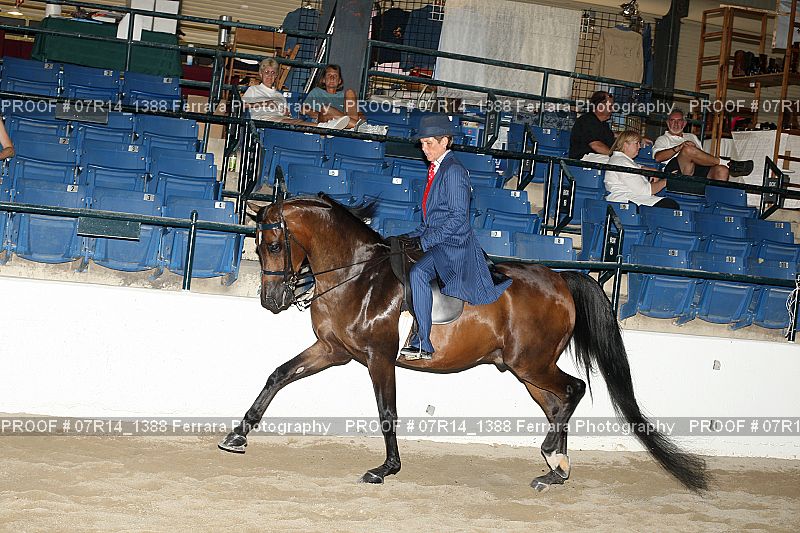 Proof 07R14_1388