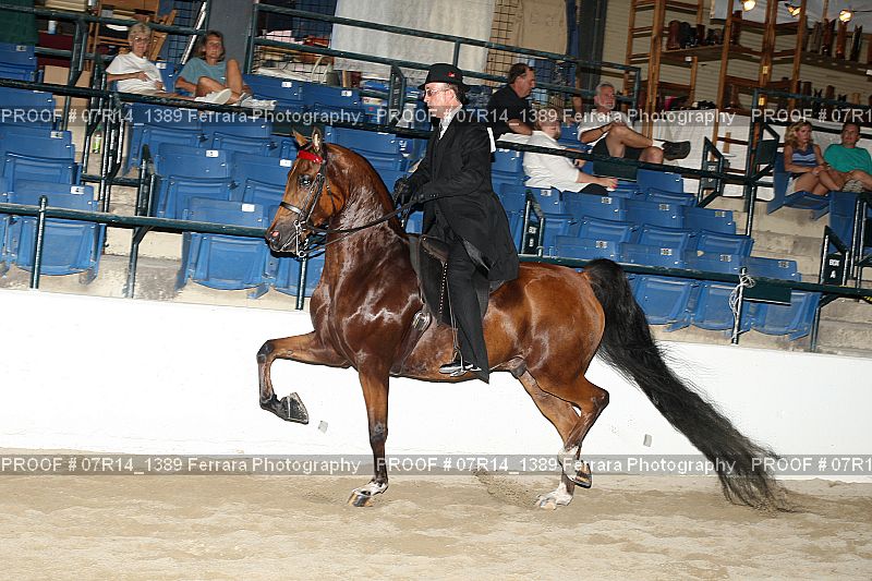 Proof 07R14_1389