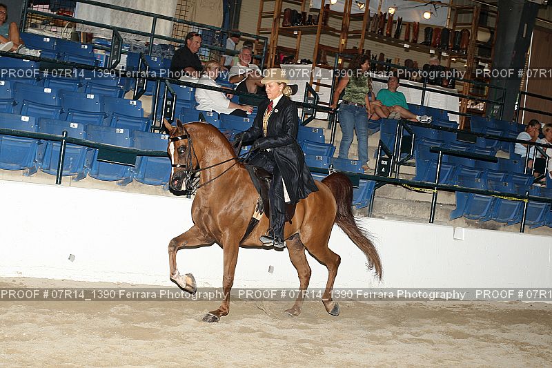 Proof 07R14_1390