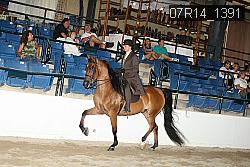 07R14_1391 proof