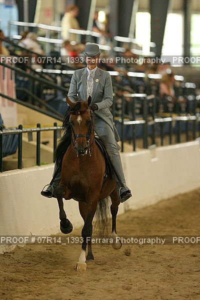 Proof 07R14_1393